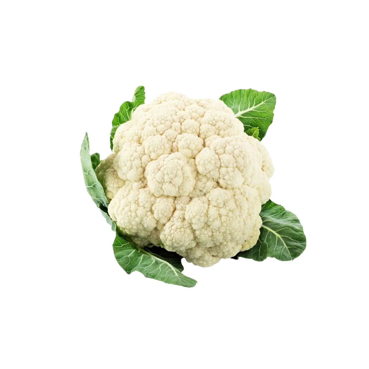 Coliflor und