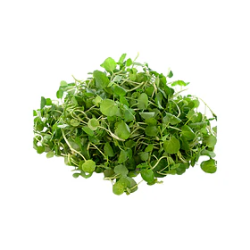 Berros Unidad (200Gr)
