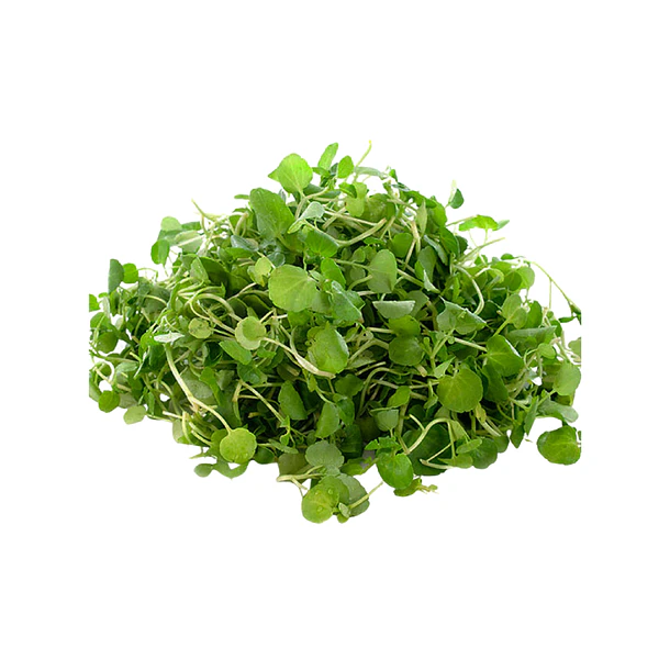 Berros Unidad (200Gr) 