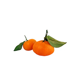 Mandarina (Kg)