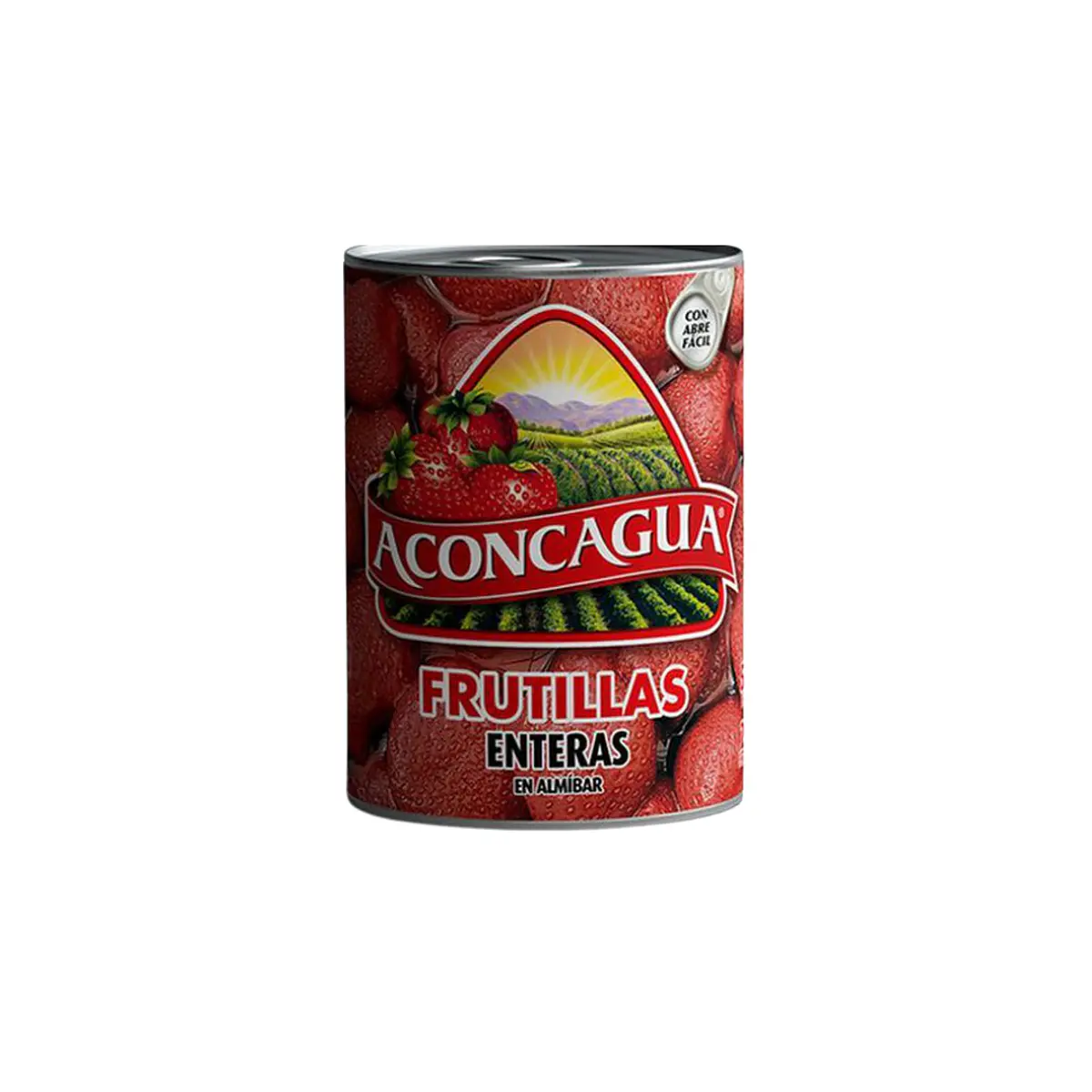 Cóctel de Frutas Aconcagua ( 3 x 590 G )