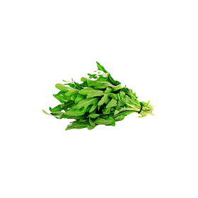 Rucula Valle Central