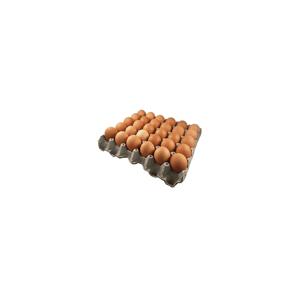 Huevo extra Santa Elvira Bandeja 30 unidades 