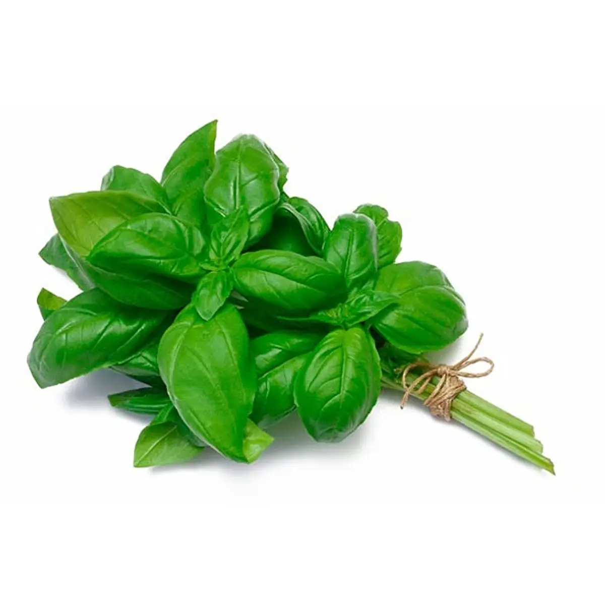 Albahaca 200grs