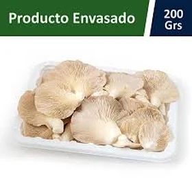 Champiñon Ostra 200 Gr