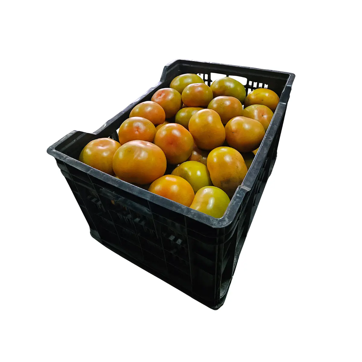 Bandeja negra de tomates