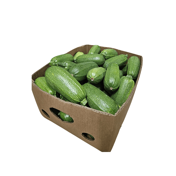 Caja de Zapallo Italiano 