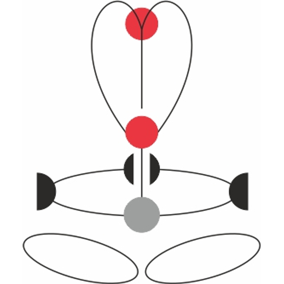GT FIXE - Arnés integral 9