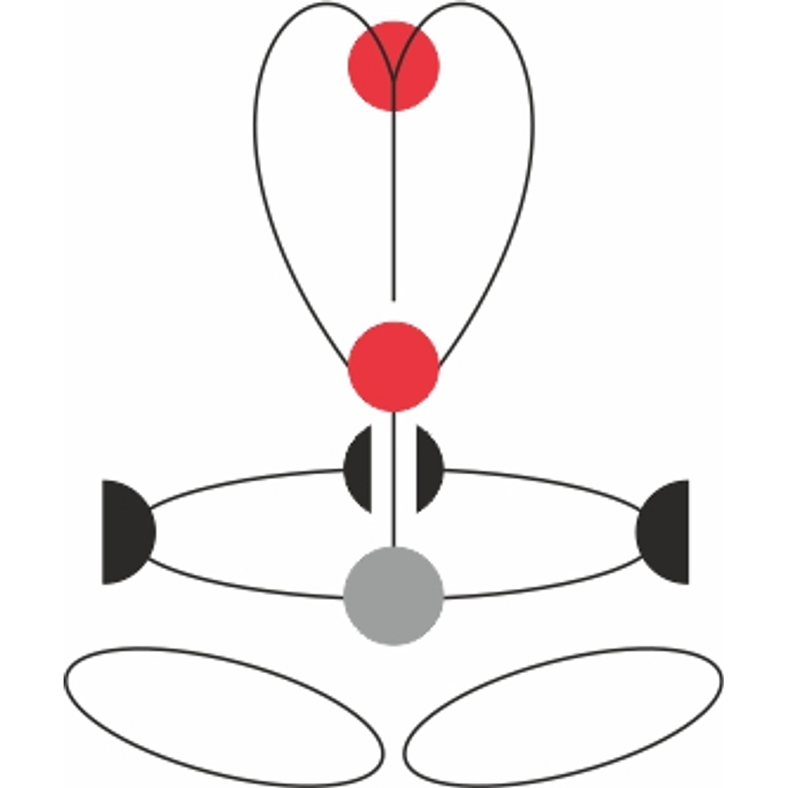 GT XT - Arnés integral 5