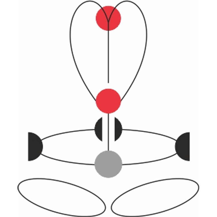 GT XT - Arnés integral 5