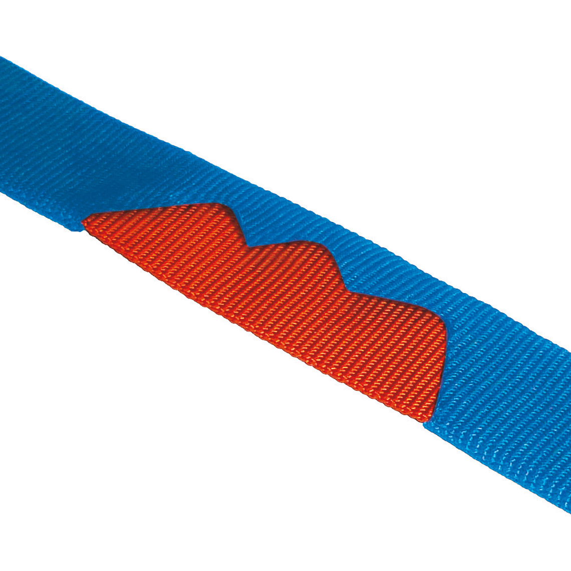 TRUCK LOOP - Aro de cinta de anclaje 4