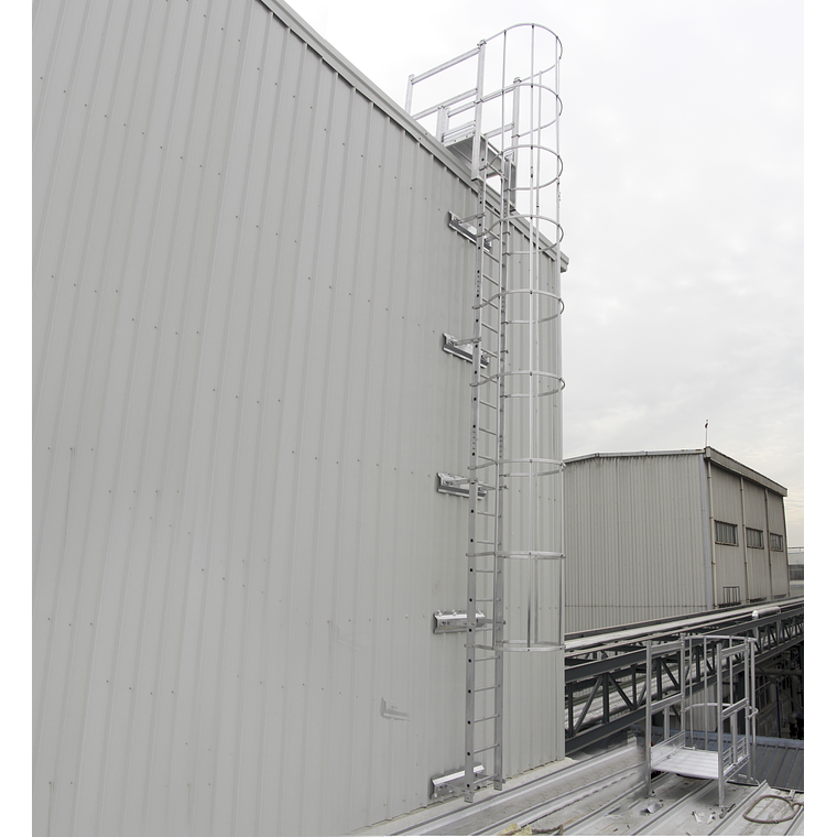 Soporte Estándar para Escalas 4