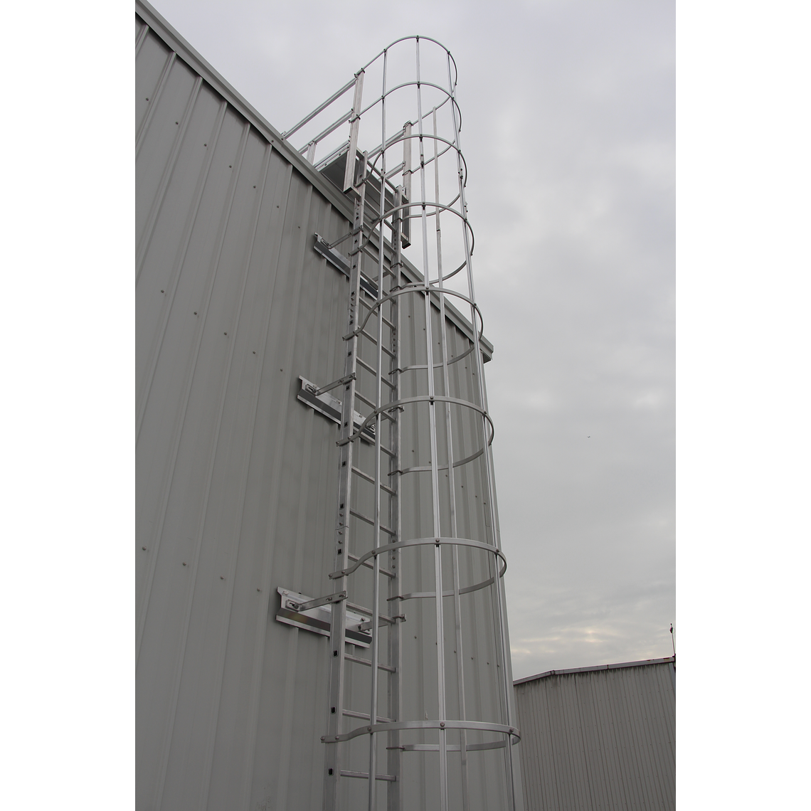 Soporte Estándar para Escalas 5