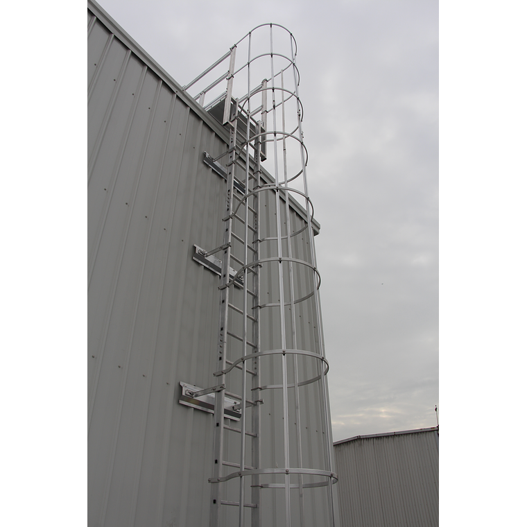 Soporte Estándar para Escalas 5