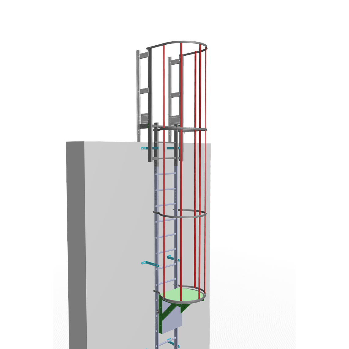 Perfil del Aro para Jaula de Escala 4