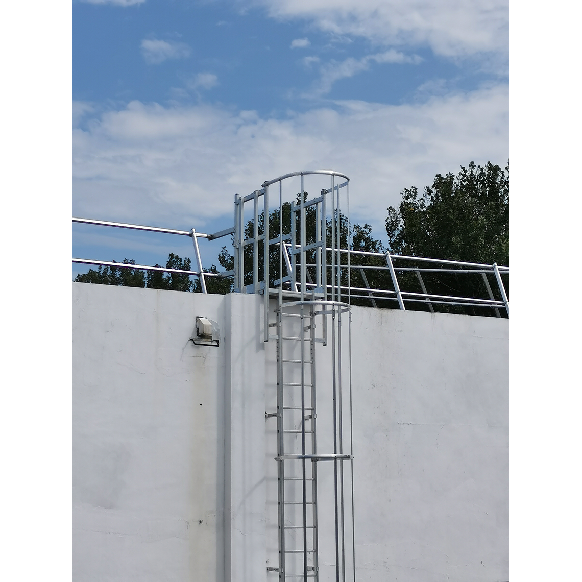 Aro Extendido para Jaula de Escala 4