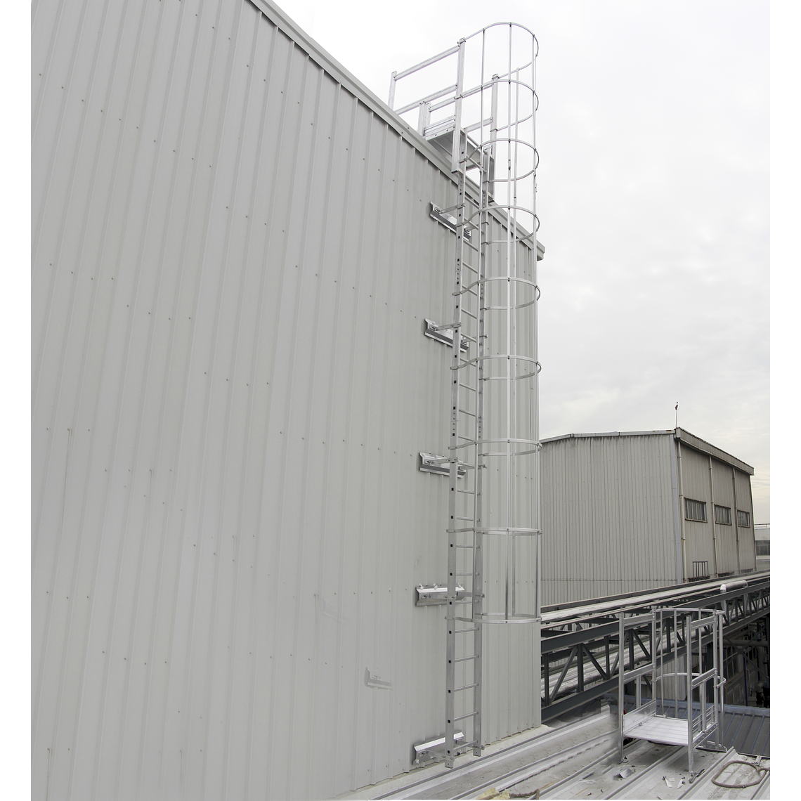 Aro Extendido para Jaula de Escala 5