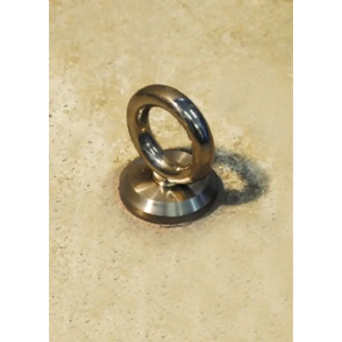 Swivelink - Anclaje de techo Safetylink 2