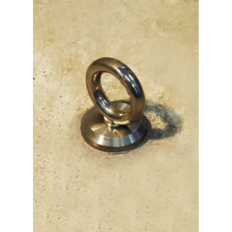 Swivelink - Anclaje de techo Safetylink 2