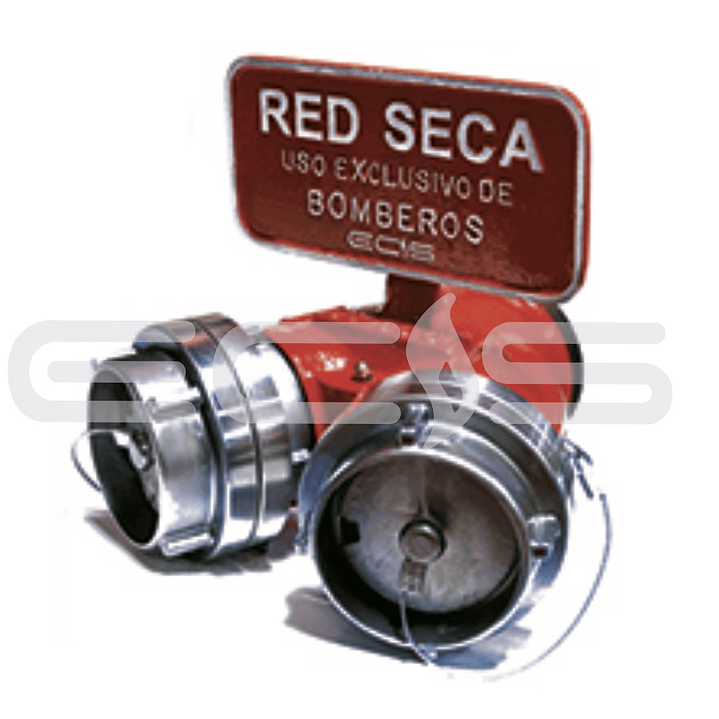 Siamesa Red Seca 4