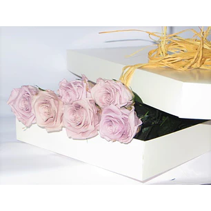 Caja de 6 rosas preservadas