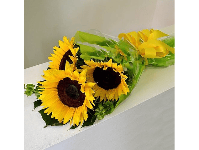 Caja de 6 girasoles | Feel Flowers