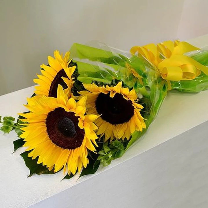 Caja de 6 girasoles 1