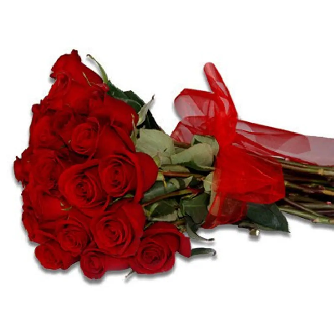 Ramo de 25 rosas rojas 1