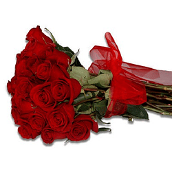 Ramo de 25 Rosas Rojas