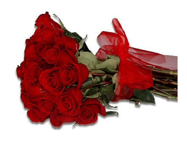 Ramo de 25 rosas rojas