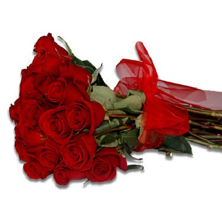 Ramo de 25 rosas rojas 1