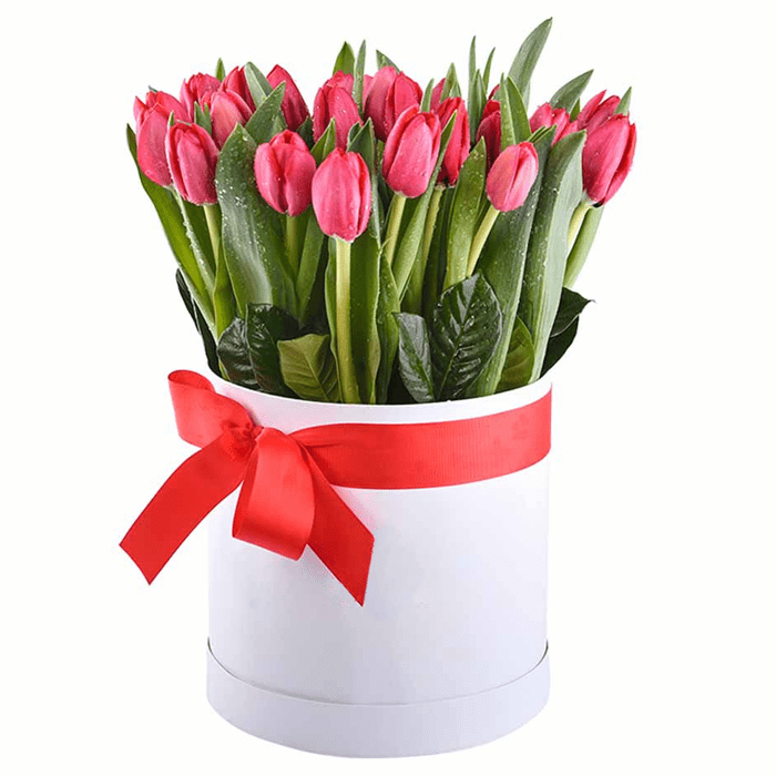 Caja box 20 tulipanes | Transmite tu Amor Fresco