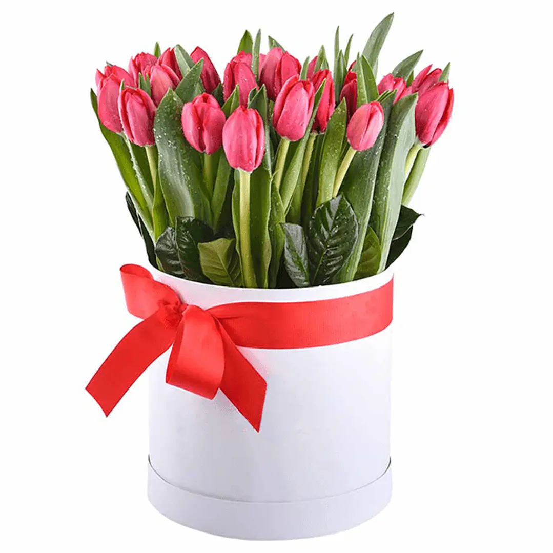 Caja box 20 tulipanes | Transmite tu Amor Fresco  1