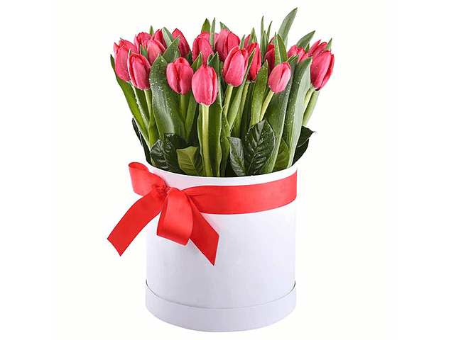 Caja box 20 tulipanes | Transmite tu Amor Fresco 