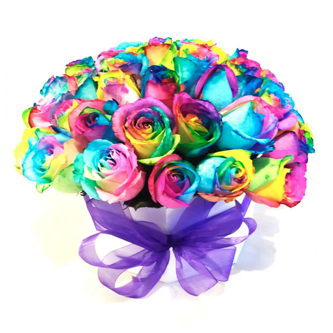 Box 24 rosas arcoíris | Envía Alegría y Color 1