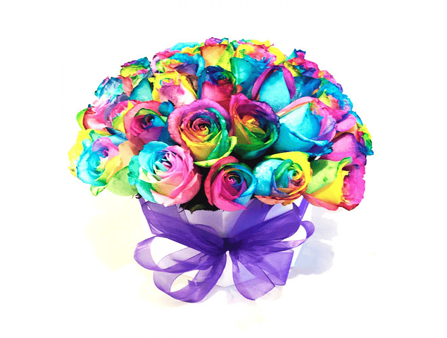 Box 24 rosas arcoíris | Envía Alegría y Color