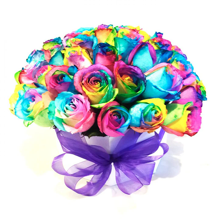 Box 24 rosas arcoíris | Envía Alegría y Color 1