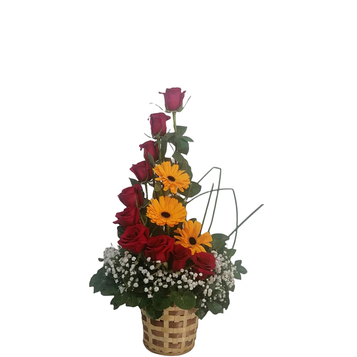 Rosas y girasoles | Regala Energía y Luz 1