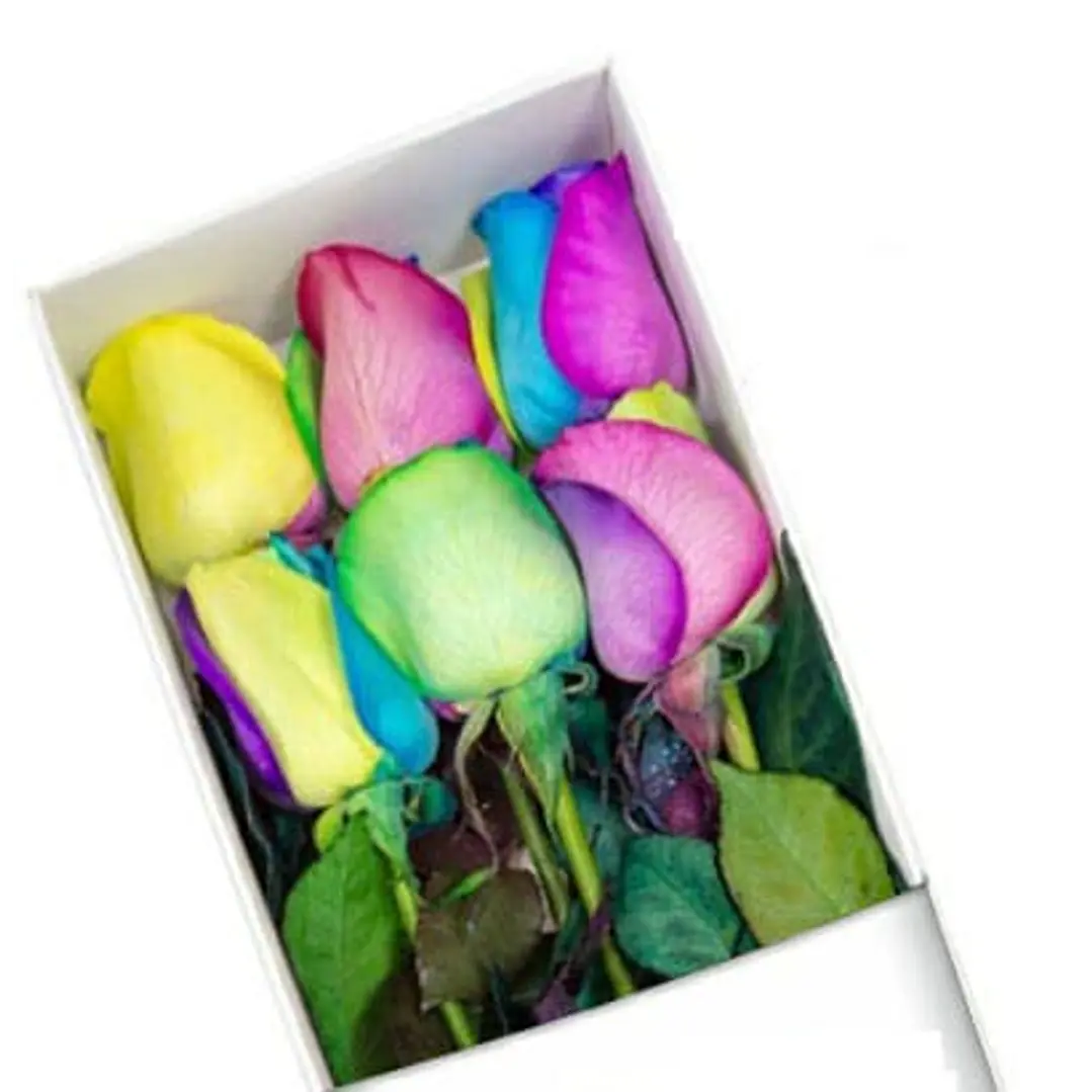 Caja de 6 rosas arcoíris 1