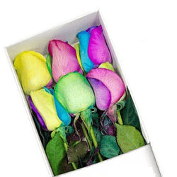 Caja de 6 rosas arcoíris