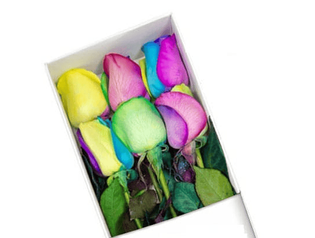 Caja 6 Rosas Arcoíris