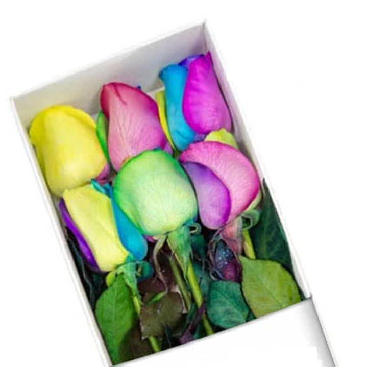 Caja de 6 rosas arcoíris 1