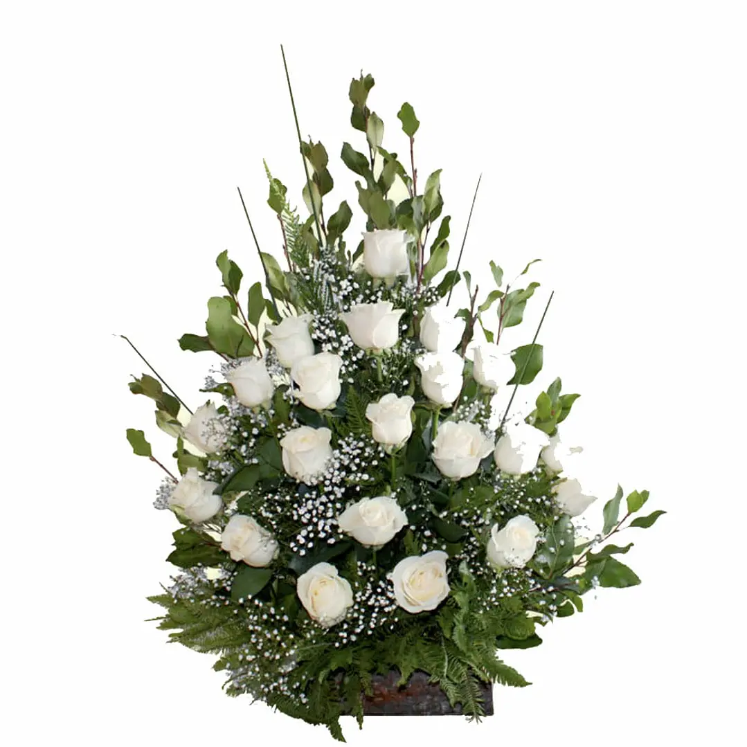 Arrimo de 25 rosas ecuatorianas 1