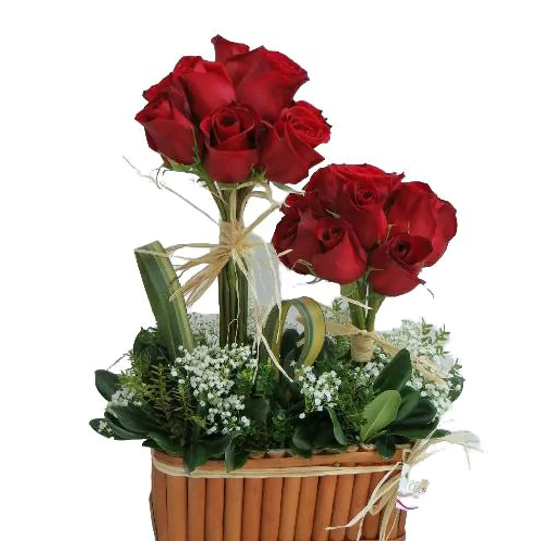20 Rosas en arbolitos 1