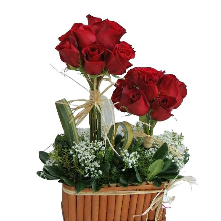 20 Rosas en arbolitos 1