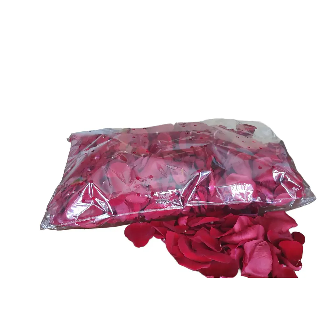 Petalos 1