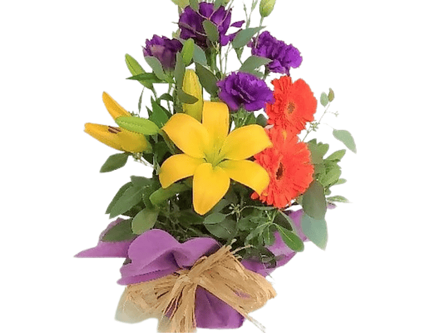Mix Flores Multicolor | Entrega Alegría | Feel Flowers | Feel Flowers