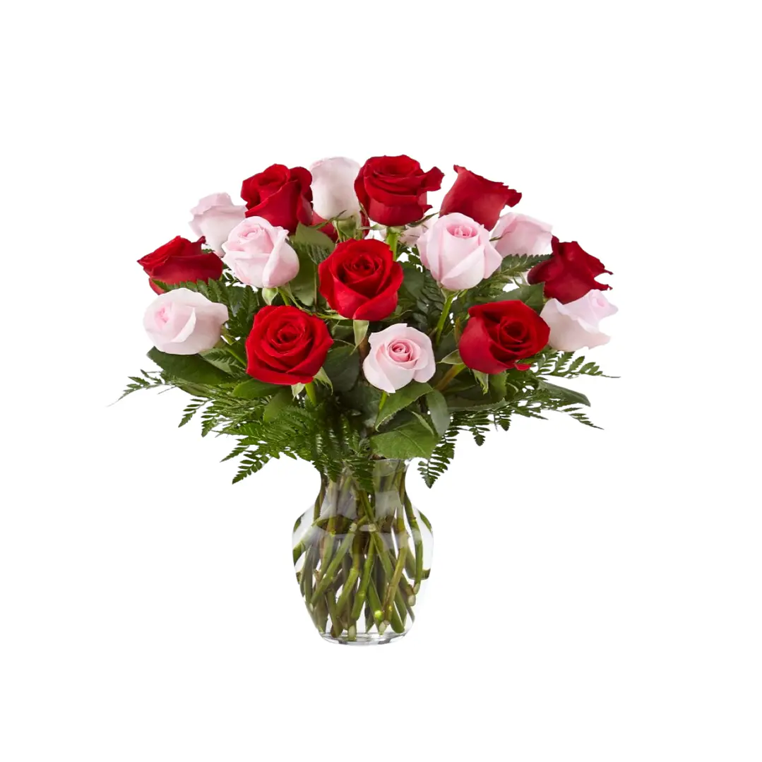 Florero 15 rosas bicolor | Expresa Amor y Agradecimiento 1