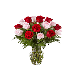 Florero 15 rosas bicolor | Expresa Amor y Agradecimiento