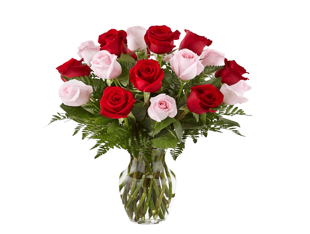 Florero 15 rosas bicolor | Expresa Amor y Agradecimiento